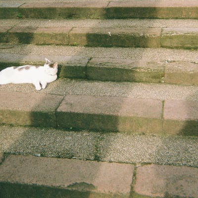 温もり