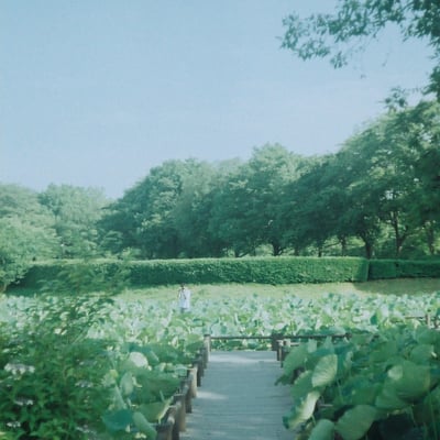 初夏