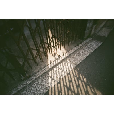 散歩道