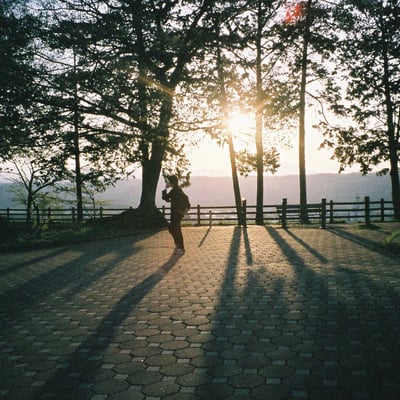 🚶🌳