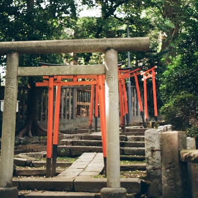 秋晴れの鳥居