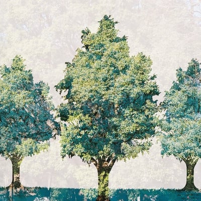 🌳