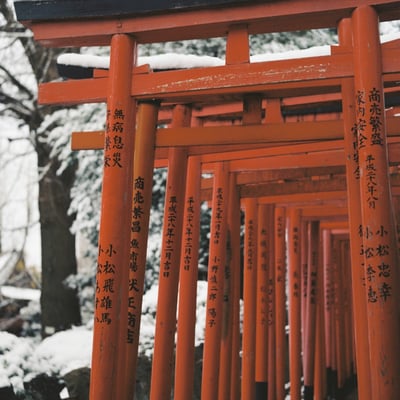朱の道白まとう