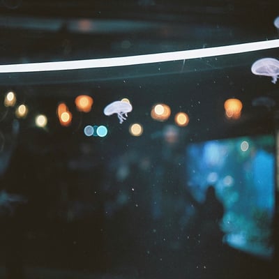 ぷかぷか