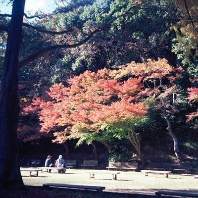 仲良し