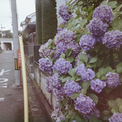 雨のにおい