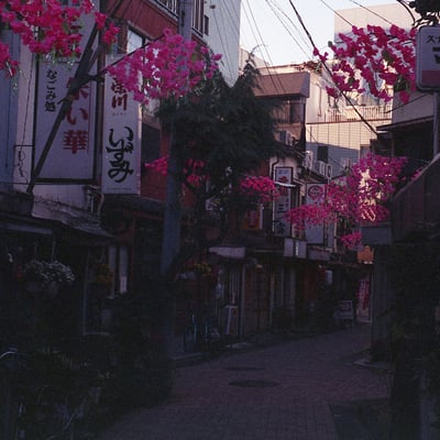 朝の横丁