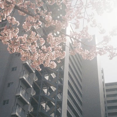 春一番