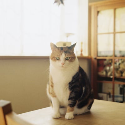 そこにいたから
