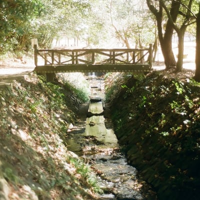 公園