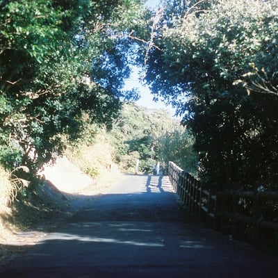 帰り道