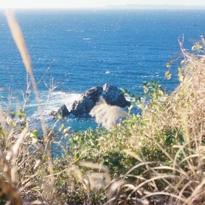 伊良湖     
