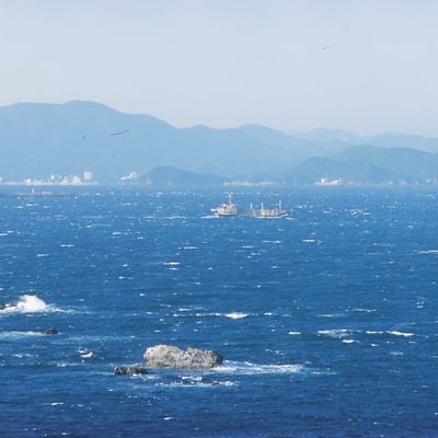 海