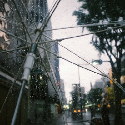 雨の日