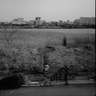 多摩川土手にて