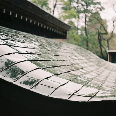 雨