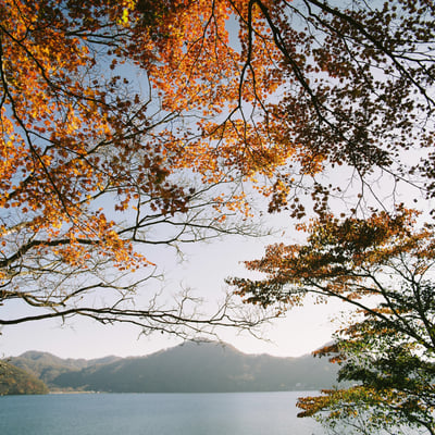 榛名湖の湖畔の紅葉
