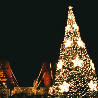 夜のディズニーシーのクリスマスツリー