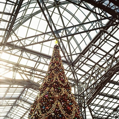 ディズニーランドのクリスマスツリー