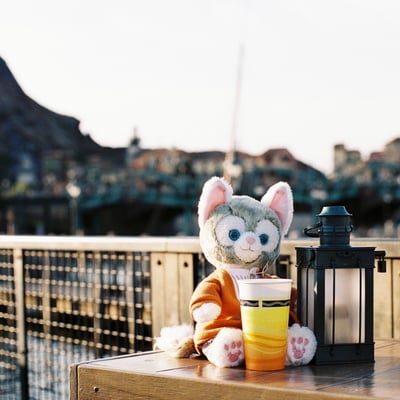帽子を無くしてヤケ酒するジェラトーニ