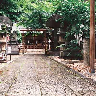 雨の日の境内