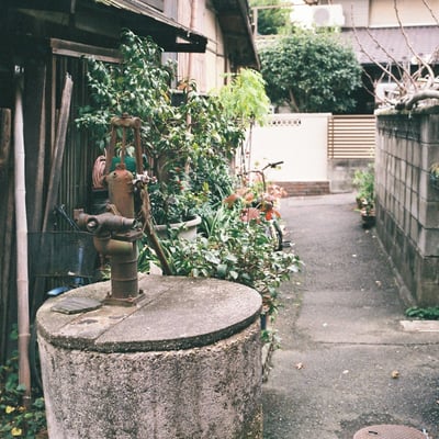 朽ちた井戸