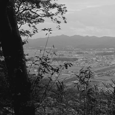 唐沢山より