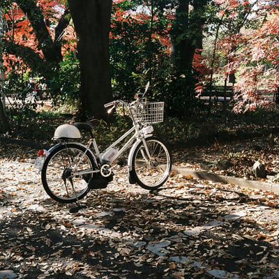 愛車