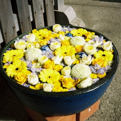 花一杯手水