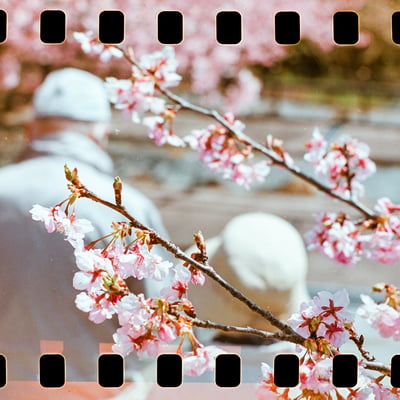 一足早い春