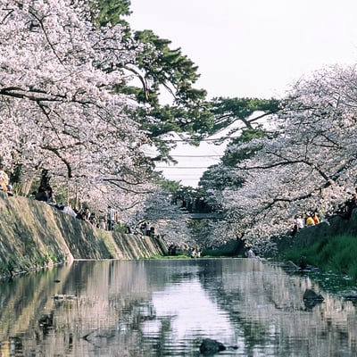 夙川