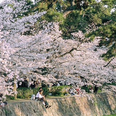 夙川