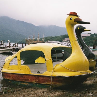 SWAN