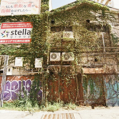 蔓延