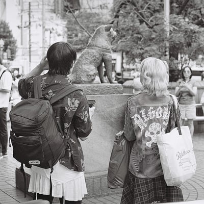 Hachi