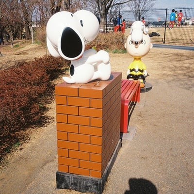 ピーナッツ