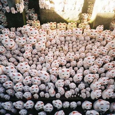 豪徳寺