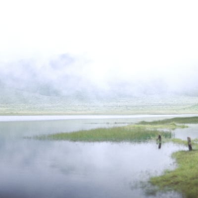 Foggy Plateau