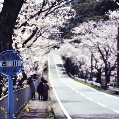 Sakurazaka