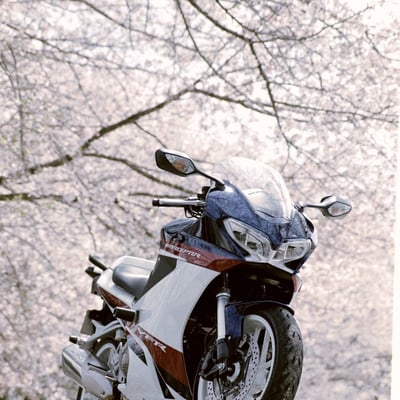 Short Spring Off