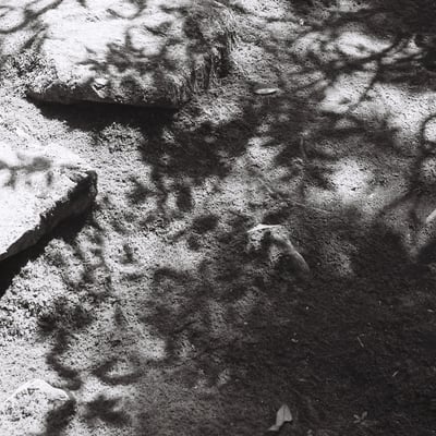 Shadow