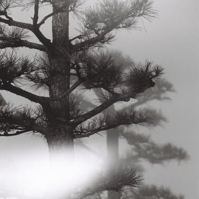 Shadow and light leakage