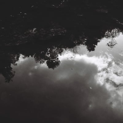 Reflection 