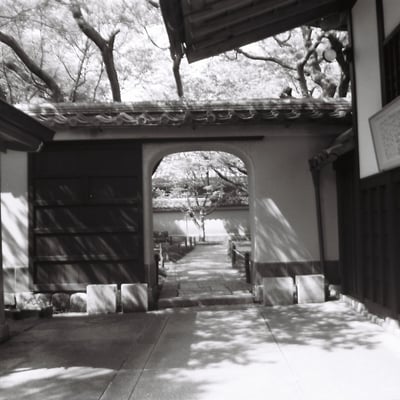 広角だったかな？