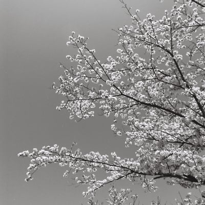 I like B&W photographs