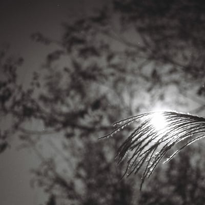 One day in early autumn