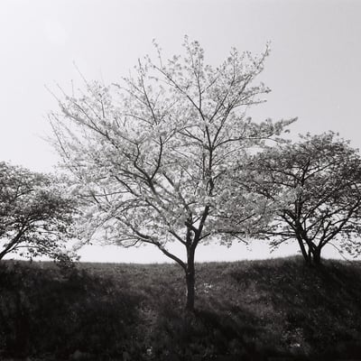 I take photographs at this place every year.