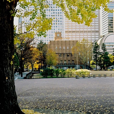 日比谷公園 20211202
