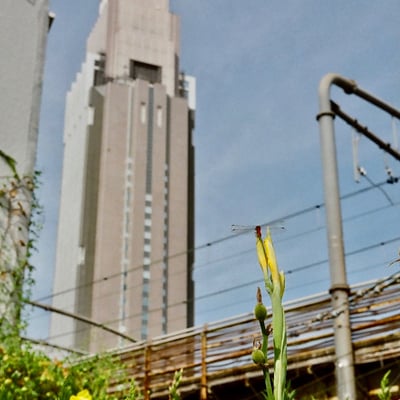 代々木 20231019