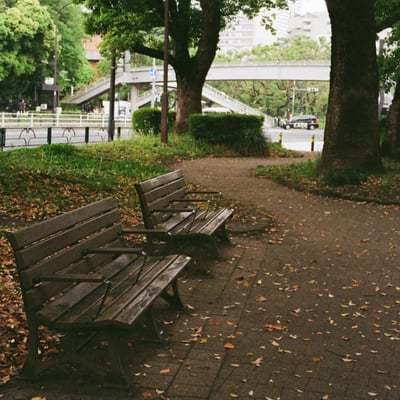 芝公園 20250424